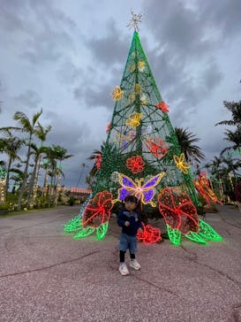 美らヤシパークオキナワ・東南植物楽園に投稿された画像（2023/12/7）