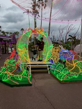 美らヤシパークオキナワ・東南植物楽園に投稿された画像（2023/12/7）