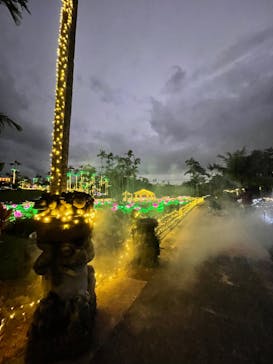 美らヤシパークオキナワ・東南植物楽園に投稿された画像（2023/12/7）