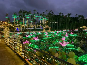 美らヤシパークオキナワ・東南植物楽園に投稿された画像（2023/12/7）