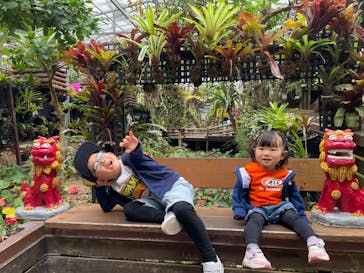 ナゴパイナップルパークに投稿された画像（2023/12/7）