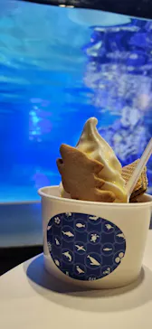 すみだ水族館に投稿された画像（2023/12/7）