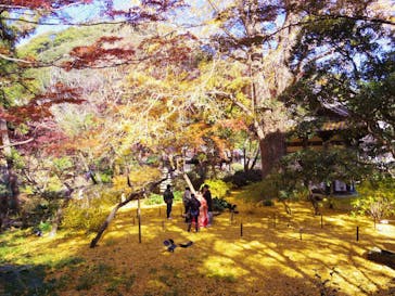 三溪園に投稿された画像（2023/12/7）