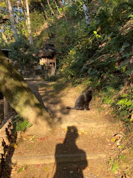 三溪園に投稿された画像（2023/12/7）