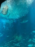 マリンワールド海の中道に投稿された画像（2023/12/7）