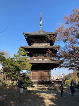 三溪園に投稿された画像（2023/12/7）