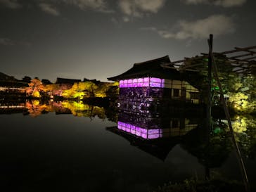 NAKEDヨルマイリ 2025-26 平安神宮に投稿された画像（2023/12/7）