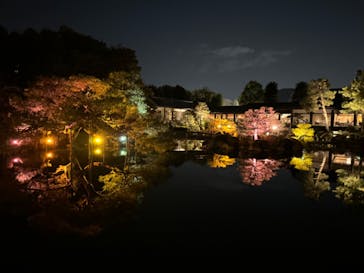 NAKEDヨルマイリ 2025-26 平安神宮に投稿された画像（2023/12/7）