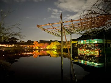 NAKEDヨルマイリ 2025-26 平安神宮に投稿された画像（2023/12/7）