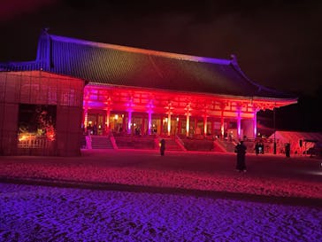 NAKEDヨルマイリ 2025-26 平安神宮に投稿された画像（2023/12/7）