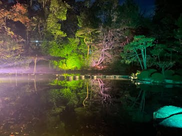 NAKEDヨルマイリ 2025-26 平安神宮に投稿された画像（2023/12/7）