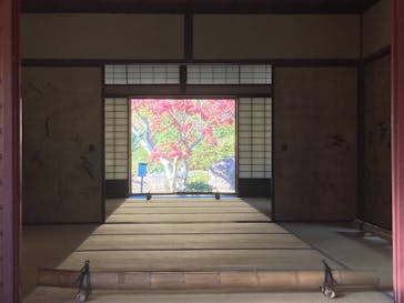 三溪園に投稿された画像（2023/12/7）