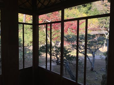 三溪園に投稿された画像（2023/12/7）