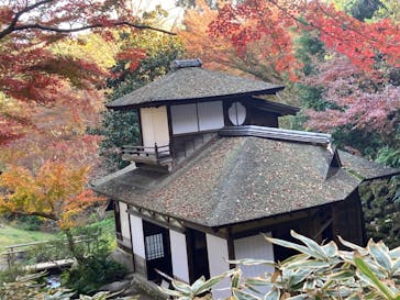 三溪園に投稿された画像（2023/12/7）