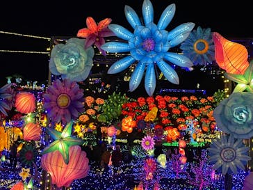 伊豆ぐらんぱる公園に投稿された画像（2023/12/7）