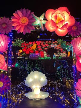 伊豆ぐらんぱる公園に投稿された画像（2023/12/7）