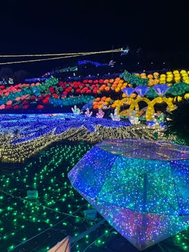 伊豆ぐらんぱる公園に投稿された画像（2023/12/7）