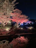 日本庭園　由志園に投稿された画像（2023/12/7）