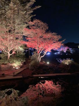 日本庭園　由志園に投稿された画像（2023/12/7）