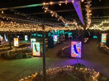 日本庭園　由志園に投稿された画像（2023/12/7）