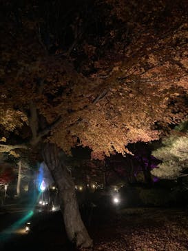 日本庭園　由志園に投稿された画像（2023/12/7）