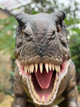 ナゴパイナップルパークに投稿された画像（2023/12/7）