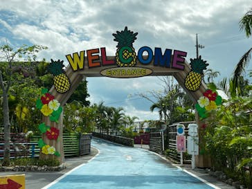 ナゴパイナップルパークに投稿された画像（2023/12/7）