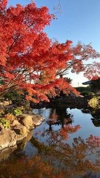仙巌園に投稿された画像（2023/12/7）
