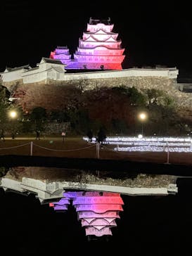 姫路城（イベント）に投稿された画像（2023/12/7）
