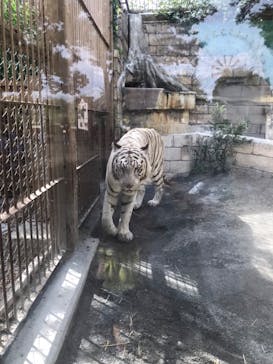 東武動物公園に投稿された画像（2023/12/7）