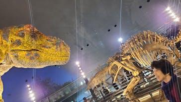 福井県立恐竜博物館に投稿された画像（2023/12/8）