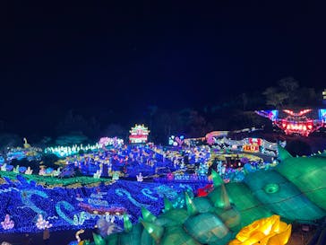 伊豆ぐらんぱる公園に投稿された画像（2023/12/8）