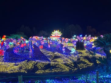 伊豆ぐらんぱる公園に投稿された画像（2023/12/8）