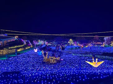 伊豆ぐらんぱる公園に投稿された画像（2023/12/8）