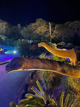 伊豆ぐらんぱる公園に投稿された画像（2023/12/8）