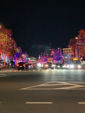 姫路城（イベント）に投稿された画像（2023/12/8）