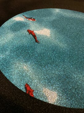 姫路城（イベント）に投稿された画像（2023/12/8）