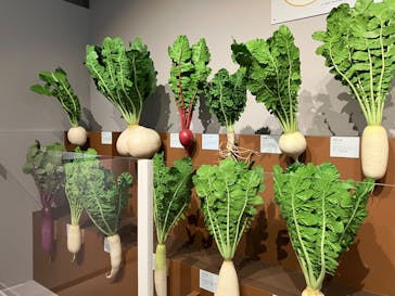 特別展「和食 ～日本の自然、人々の知恵～」に投稿された画像（2023/12/8）