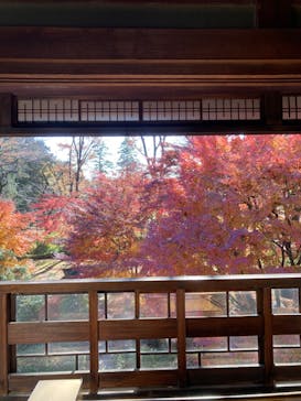 江戸東京たてもの園に投稿された画像（2023/12/8）