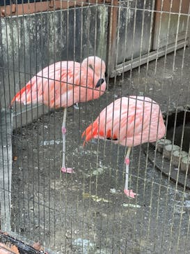 宇都宮動物園に投稿された画像（2023/12/8）