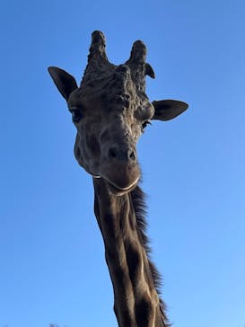 宇都宮動物園に投稿された画像（2023/12/8）
