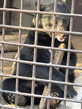 宇都宮動物園に投稿された画像（2023/12/8）