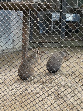 宇都宮動物園に投稿された画像（2023/12/8）