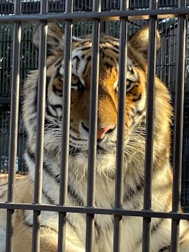 宇都宮動物園に投稿された画像（2023/12/8）