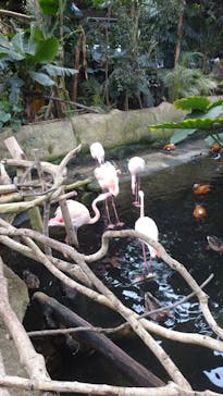 那須どうぶつ王国に投稿された画像（2023/12/8）