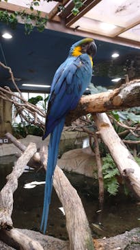 那須どうぶつ王国に投稿された画像（2023/12/8）