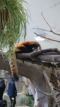 那須どうぶつ王国に投稿された画像（2023/12/8）