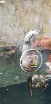 那須どうぶつ王国に投稿された画像（2023/12/8）