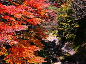 仙巌園に投稿された画像（2023/12/8）