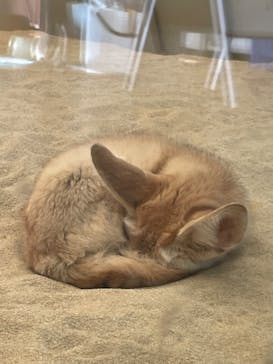 環境水族館アクアマリンふくしまに投稿された画像（2023/12/8）